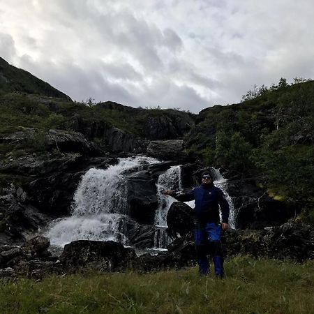 Gullesfjord Camping Bagian luar foto
