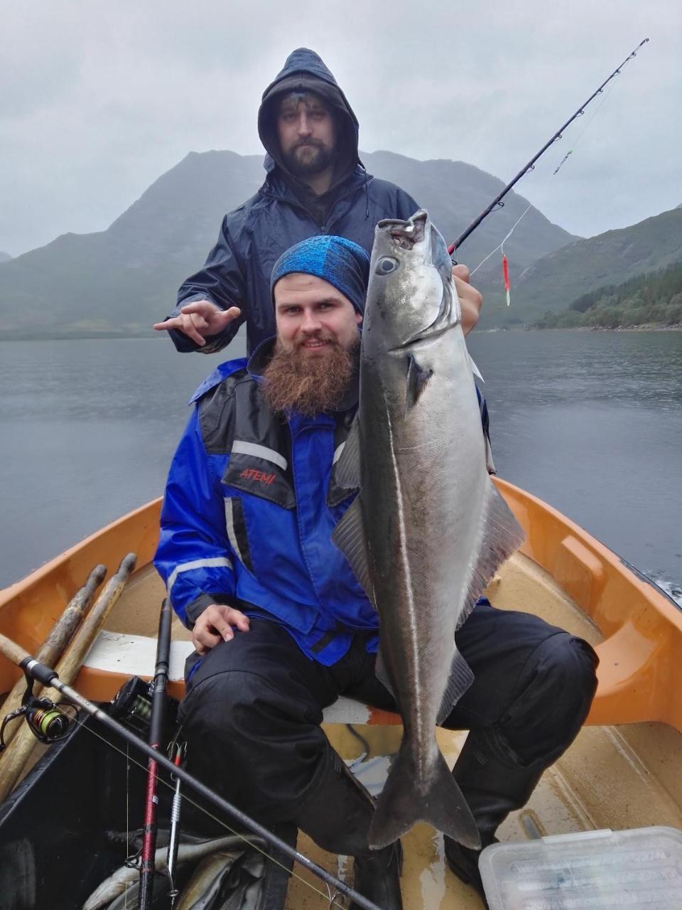 Gullesfjord Camping Bagian luar foto